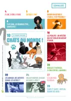 Aperçu - Jeux - Mon journal animal #9 / Les chats du monde - Page 2