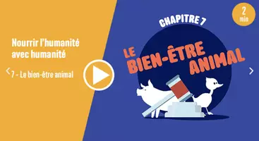 Aperçu - Vidéos - Nourrir l'humanité #7 - Le bien-être animal - Page de couverture
