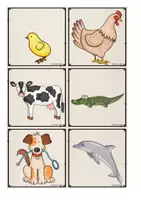 Vorschau - Unterrichtsreihen - Mega-Sparpaket: Animals - Seite 3