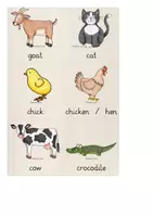 Vorschau - Spiele - Lerntrainer: Animals (2x 63 Karten!) - Seite 2