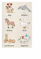 Vorschau - Spiele - Lerntrainer: Animals (2x 63 Karten!) - Seite 3