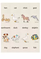 Vorschau - Spiele - Matching Pairs / Stop&Swap: Animals - Seite 2