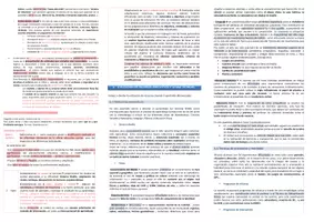Vista previa - Evaluación - Oposiciones Pedagogía Terapéutica: esquema tema 17 - página 2