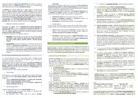 Vista previa - Evaluación - Oposiciones Pedagogía Terapéutica: esquema tema 17 - página 3