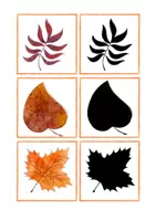 Vorschau - Fördermaterial/Inklusion - Schattenbilder Herbstblätter - visuelle Wahrnehmung - Seite 2