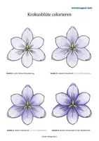 Vorschau - Mal- und Bastelvorlagen - Ausmalen Colorieren Anleitung Frühblüher Krokus - Deckblatt
