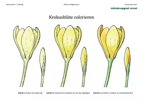 Vorschau - Mal- und Bastelvorlagen - Jahreszeit Frühblüher Krokus seitlich Anleitung Colorieren - Deckblatt
