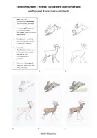 Vorschau - Mal- und Bastelvorlagen - Tiere zeichnen und colorieren - Anleitung - Deckblatt