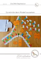 Vorschau - Arbeitsblätter - Die DNA-Replikation - Entdeckendes Lernen am Modell - Seite 3