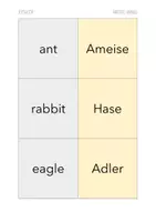 Vorschau - Spiele - Vocabulary Game (Flyswatter) - (Unusual) Pets & Animals - Seite 3
