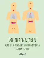 Vorschau - Arbeitsblätter - Lernkarten & Text: Die Nebennieren des Menschen (Anatomie & Physiologie) - Deckblatt