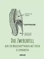 Vorschau - Arbeitsblätter - Lernkarten & Text: Das Zwerchfell des Menschen (Anatomie & Physiologie) - Deckblatt