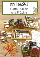 Vorschau - Arbeitsblätter - Im Herbst - Blätter, Bäume und Früchte (Klett-Material und Übersicht) - Deckblatt