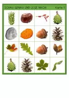 Vorschau - Arbeitsblätter - Wald - Sparpaket - Seite 1