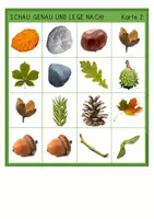 Vorschau - Arbeitsblätter - Wald - Sparpaket - Seite 2