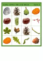 Vorschau - Arbeitsblätter - Wald - Sparpaket - Seite 3