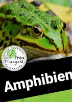 Vorschau - Arbeitsblätter - Merkmale Wirbeltierklasse Amphibien - arbeitsteilige Arbeitsblätter mit Lesetext - mit Versuch - Deckblatt