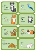 Vorschau - Präsentationen/Tafelbilder - Interview pets - Seite 3