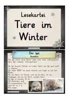 Vorschau - Bildkarten - Tiere im Winter - Lesekartei - Seite 1