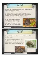 Vorschau - Bildkarten - Tiere im Winter - Lesekartei - Seite 2