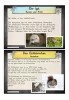 Vorschau - Bildkarten - Tiere im Winter - Lesekartei - Seite 3