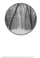 Vorschau - Spiele - Bodenkreis - Tiere im Winter (fächerübergreifende Leseförderung, Legekreis, Inklusion) - Seite 2