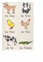 Vorschau - Stationenlernen - Lerntrainer: Tiere (2x 64 Karten!) - Seite 2