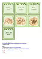 Vorschau - Spiele - Dinosaurier Paarsuche - Seite 2