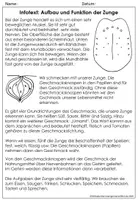 Vorschau - Arbeitsblätter - Materialsammlung die Zunge - Geschmackssinn - Sachunterricht - Biologie - NaWi - Seite 3