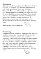 Vorschau - Arbeitsblätter - Fledermäuse: Gruppenarbeit, Text, Lückentext - Seite 2