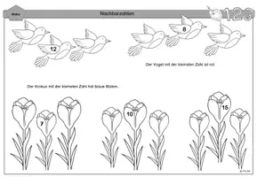 Vorschau - Arbeitsblätter - Nachbarzahlen (Zahlenraum bis 20) - Seite 2