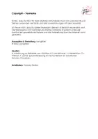 Vorschau - Merkblätter - Schreibplan Fallbeispielanalyse Erziehungswissenschaft & Sozialpädagogik - Seite 2