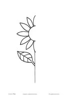 Vorschau - Arbeitsblätter - Sonnenblume/Sunflower - Malvorlage mit Symmetrie - Seite 2