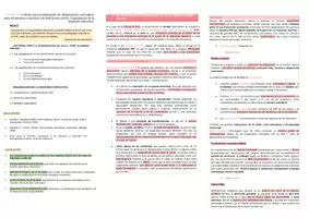 Vista previa - Evaluación - Oposiciones Pedagogía Terapéutica: esquema tema 19 - página 2