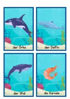 Vorschau - Stationenlernen - Materialpaket Meerestiere - Seite 2