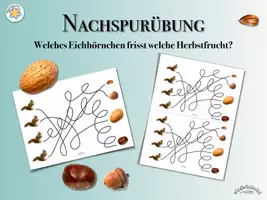 Vorschau - Mal- und Bastelvorlagen - Fußspuren der Eichhörnchen zu Herbstfrüchten nachspuren? - Welches Eichhörnchen bekommt die Buchecker, die Walnuss, die Kastanie, die Eichel? - Deckblatt