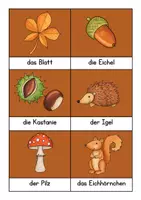 Vorschau - Arbeitsblätter - DAZ DAF Materialpaket Themenbereich Herbst - Seite 3