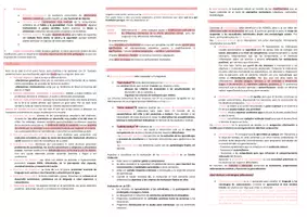 Vista previa - Evaluación - Oposiciones Pedagogía Terapéutica: esquema tema 21 - página 2