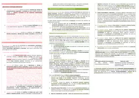 Vista previa - Evaluación - Oposiciones Pedagogía Terapéutica: esquema tema 21 - página 3