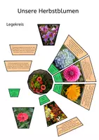 Vorschau - Bildkarten - Legekreis Herbstblumen - Deckblatt