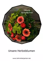 Vorschau - Bildkarten - Legekreis Herbstblumen - Seite 1