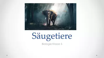 Vorschau - Präsentationen/Tafelbilder - Säugetiere - PPP zur Unterrichtsreihe Biologie oder BNT --> Komplettpaket - Deckblatt