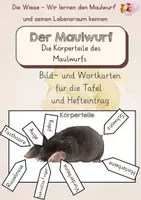 Vorschau - Stundenentwürfe - Maulwurf -Gesamtpaket - Seite 1