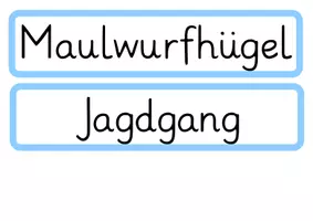 Vorschau - Unterrichtsreihen - Der Lebensraum des Maulwurfs - gesamte Unterrichtseinheit - Seite 3