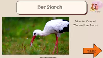 Vorschau - Unterrichtsreihen - Die Feinde des Maulwurfs - gesamte Unterrichtseinheit - Seite 3