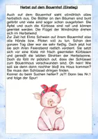 Vorschau - Arbeitsblätter - Lesespurgeschichte Herbst Bauernhof - Seite 3