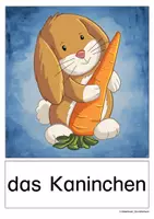 Vorschau - Bildkarten - Bildkarten: Tiere - Seite 3
