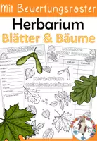 Vorschau - Stundenentwürfe - Herbarium - Blätter und Bäume - Laubbäume bestimmen und pressen - Deckblatt