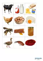 Vorschau - Stationenlernen - Farmprodukte, Tierprodukte, Produkte von Tieren - Seite 2