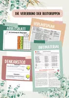 Vorschau - Arbeitsblätter - Die Vererbung der Blutgruppen - Übung Mendelsche Regeln - Deckblatt